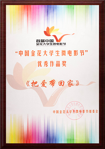 第八届中国虎啸奖传播创意类金奖