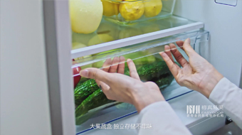 TCL三门风冷冰箱电商视频