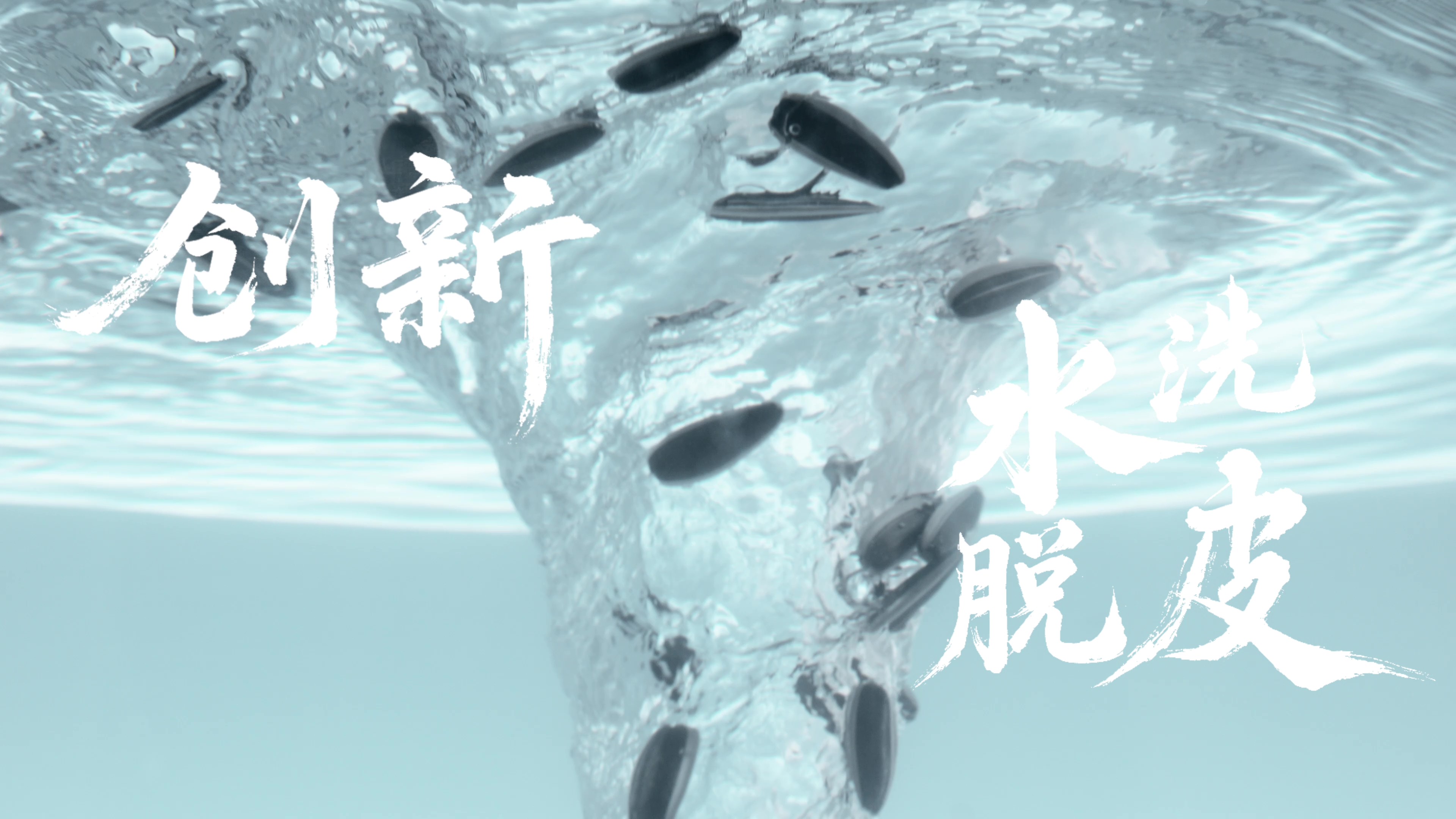 1770359670301277BTWm.jpg 1770359670301277BTWm.jpg